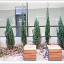 분당구청 내 이미지