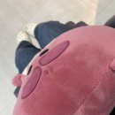 리뉴어의원 이미지