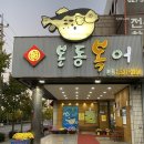 본동복어 이미지