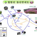 155차 일림산 산행공지 이미지