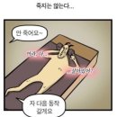 크로스핏 원 | 언주역 크로스핏, 스웻온서울 원데이클래스 후기 (+수강권 가격, 시간표, 주차 정보)