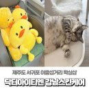 닥터아이티엔강남스킨케어 네이버블로그