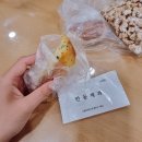 주간 일기 챌린지-10월 둘째 주