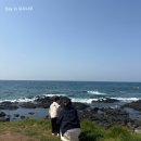아기와 제주여행 DAY3 (제주도 돌고래 스팟, 제주도 일과리, 제주신화월드 유채꽃, 테마파크,스시혼제주)