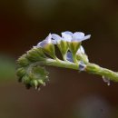 신라중학교 이미지