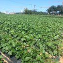 다현농장 이미지