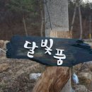 달빛품 이미지