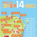 돌고래 펜션 이미지