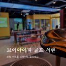 브이아이피골프연습장 이미지