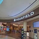 큰나무푸드 | 안성 아쿠아필드 주차 푸드코트 스낵바 메뉴 시설 후기