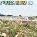 중앙로 메타세콰이아길 이미지