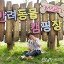 행복하 개 이미지