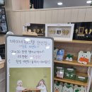 피피푸푸 | 베이비파스텔 안산시흥점 돌촬영 후기 (+촬영테마 정보)