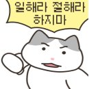 달성낚시 이미지