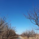 운심지구 화장실 이미지