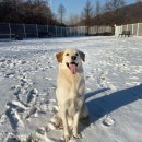 울루라떼 이미지