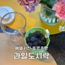 에델키친 후르츠팟 과일도시락 다이어트 도시락 사용 후기
