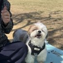 보리보리쌀 네이버블로그