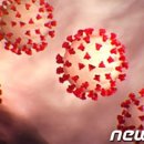 넷마블게임즈(주) 이미지