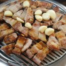 숯굽는 마을 Daum카페