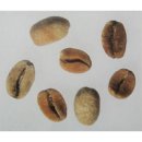 홀씨;bean