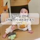 퍼피 비비드 | 밀크마일 상하복 11개월 아기 100 사이즈 내돈내산 후기