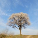 원봉1리 마을회관 이미지