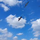 여덟가지 보물다리길 이미지