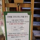 카페117 이미지