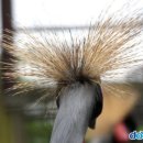 더클래식바이호텔원 이미지