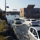 신촌물양장 이미지