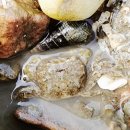 목섬칼국수 이미지