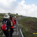 제주서초등학교 이미지