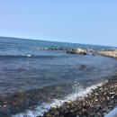 3.9 횟집 이미지