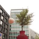 장트 갈렌(St. Gallen )하루 1