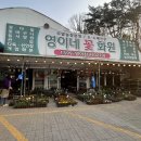 [도봉/방학 화원]영이네꽃화원 방학동 화원 꽃 모종 구매 후기