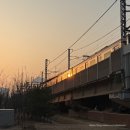 행운주유소 | 오늘의 오하아사 1위 : 행운 가득한 나날 되세요🍀