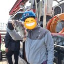 선단진입도로 | 수도권에서 1시간 거리! 오이도 한바다호 광어다운샷 이벤트 출조 후기 240426