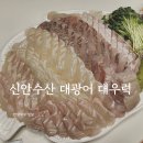 흥안대로 | 안양농수산물시장 신안수산 광어 우럭 회포장 내돈내산 후기