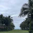 더리조트멍 | 22주차ㅣ나트랑태교여행(2) 더아남 리조트 부대시설 후기(수영장 3곳,프라이빗비치,조식,더아남버거,요가)