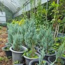 사철슈퍼 이미지