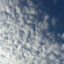 주식회사두손 | [일본여행] 행복했던 일본 도쿄여행 5일차