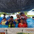 본도시락 옥계점 이미지