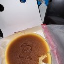 PASS UNION | [토론토 여행 2일차 ✈️] 리플리 아쿠아리움 방문 후기, 피크닉, 아크테릭스 쇼핑, City pass, 맛집