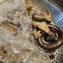 대구 상인동 염통 꼬치 맛집 대구 분식 맛집 심야매점 포장 후기