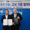 고서
