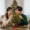 사파초등학교 | 연말 크리스마스 출강 클래스 안내 - 창원출강, 부산출강