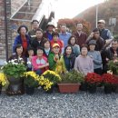 장태산자작나무펜션 이미지