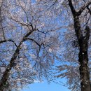 남산정미소 이미지