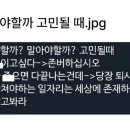 피즈소셜클럽 이미지
